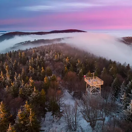 Slaski 46m, Ksiaz Kuchnia Klimatyzacja Wifi Parking Apartment Bad Salzbrunn