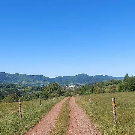 Apartment Slaski 46m, Ksiaz Kuchnia Klimatyzacja Wifi Parking