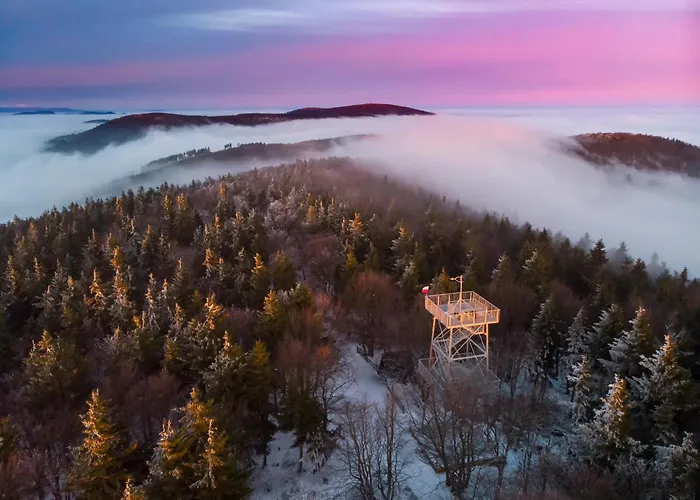 Slaski 46m, Ksiaz Kuchnia Klimatyzacja Wifi Parking Apartment Bad Salzbrunn