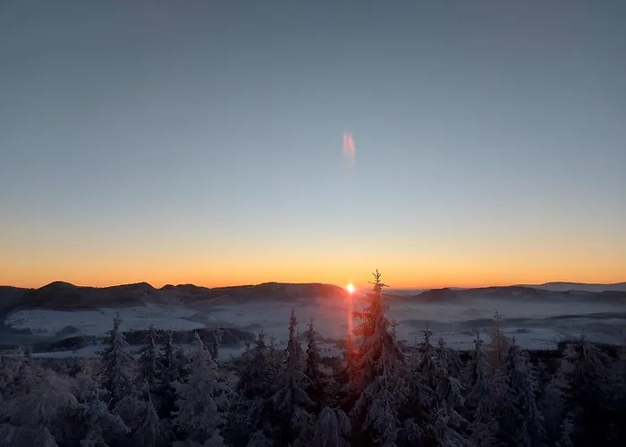 Slaski 46m, Ksiaz Kuchnia Klimatyzacja Wifi Parking Apartment Bad Salzbrunn