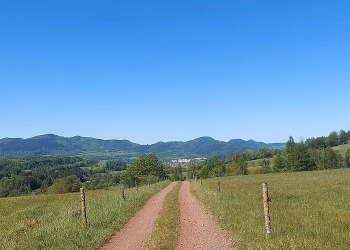 Апартаменты Slaski 46m, Ksiaz Kuchnia Klimatyzacja Wifi Parking